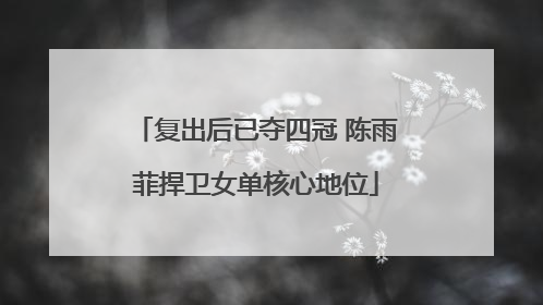 复出后已夺四冠 陈雨菲捍卫女单核心地位