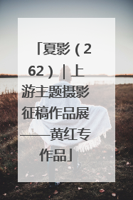 夏影（262）｜上游主题摄影征稿作品展——黄红专作品