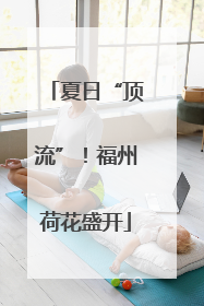 夏日“顶流”！福州荷花盛开