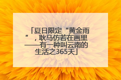 夏日限定“黄金雨”，耿马仿若在画里——有一种叫云南的生活之365天