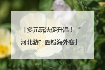 多元玩法促升温！“河北游”圈粉海外客