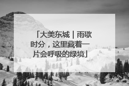大美东城｜雨歇时分，这里藏着一片会呼吸的绿境