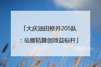 大庆油田修井205队：毫厘精算创效益标杆