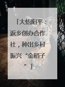 大悟阳平：返乡创办合作社，种出乡村振兴“金稻子”
