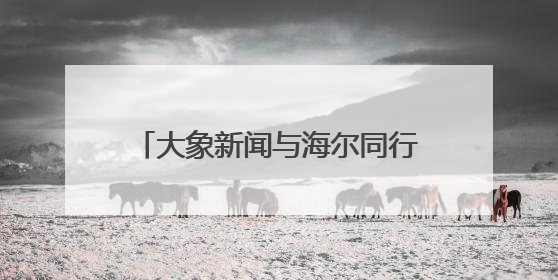 大象新闻与海尔同行 河南海尔专卖店换新节中博社区站举行