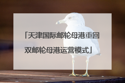 天津国际邮轮母港重回双邮轮母港运营模式