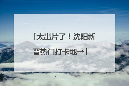 太出片了！沈阳新晋热门打卡地→