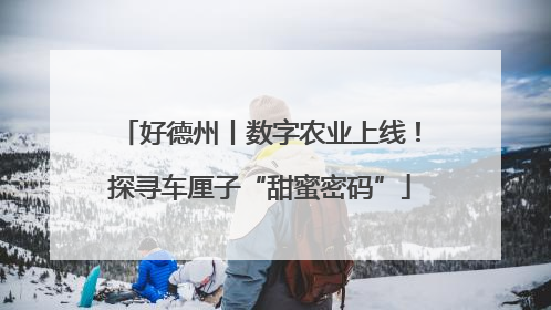 好德州丨数字农业上线！探寻车厘子“甜蜜密码”