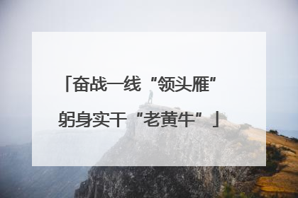 奋战一线“领头雁” 躬身实干“老黄牛”