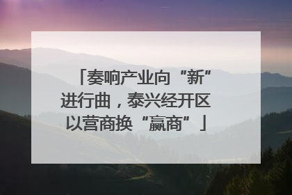 奏响产业向“新”进行曲，泰兴经开区以营商换“赢商”