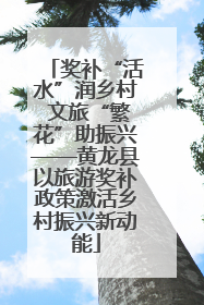 奖补“活水”润乡村 文旅“繁花”助振兴——黄龙县以旅游奖补政策激活乡村振兴新动能