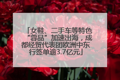 女鞋、二手车等特色“蓉品”加速出海，成都经贸代表团欧洲中东行签单逾3.7亿元