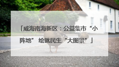 威海南海新区：公益集市“小阵地” 绘就民生“大图景”
