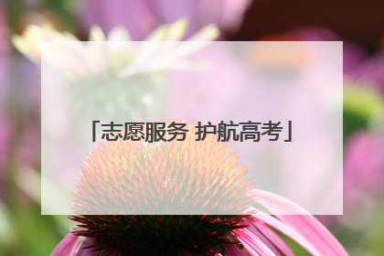 志愿服务 护航高考