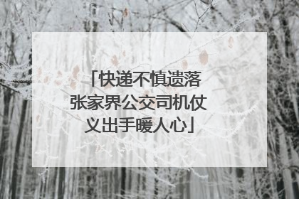 快递不慎遗落 张家界公交司机仗义出手暖人心