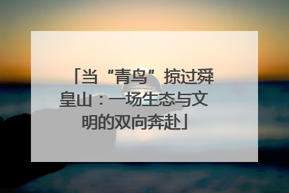 当“青鸟”掠过舜皇山：一场生态与文明的双向奔赴