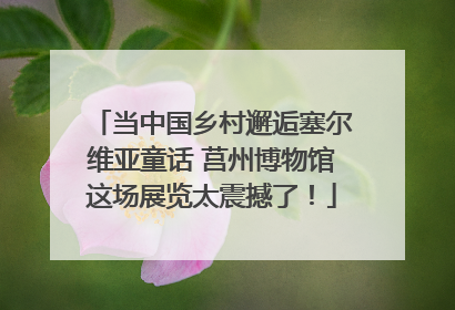 当中国乡村邂逅塞尔维亚童话 莒州博物馆这场展览太震撼了！
