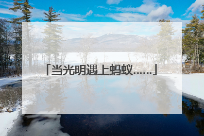 当光明遇上蚂蚁……