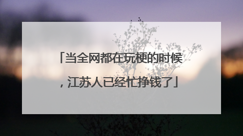 当全网都在玩梗的时候，江苏人已经忙挣钱了