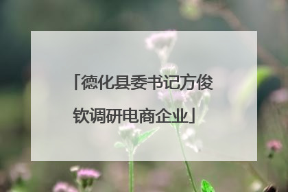 德化县委书记方俊钦调研电商企业