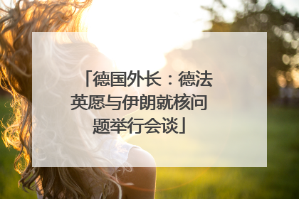 德国外长：德法英愿与伊朗就核问题举行会谈