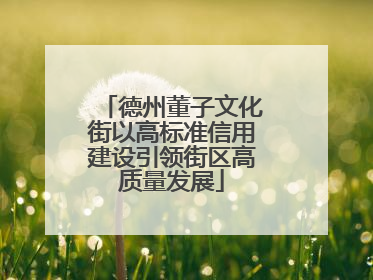 德州董子文化街以高标准信用建设引领街区高质量发展