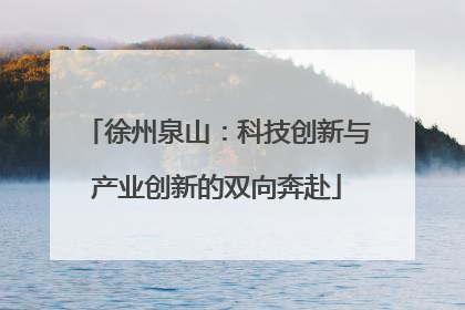 徐州泉山：科技创新与产业创新的双向奔赴