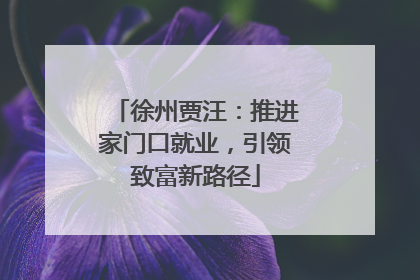 徐州贾汪：推进家门口就业，引领致富新路径