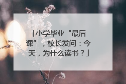 小学毕业“最后一课”，校长发问：今天，为什么读书？