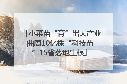 小菜苗“育”出大产业 曲周10亿株“科技苗”15省落地生根