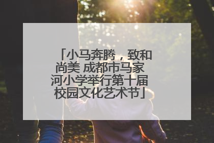 小马奔腾，致和尚美 成都市马家河小学举行第十届校园文化艺术节