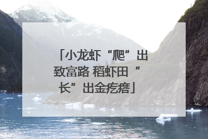 小龙虾“爬”出致富路 稻虾田“长”出金疙瘩