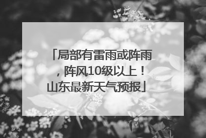 局部有雷雨或阵雨，阵风10级以上！山东最新天气预报