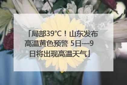 局部39℃！山东发布高温黄色预警 5日—9日将出现高温天气