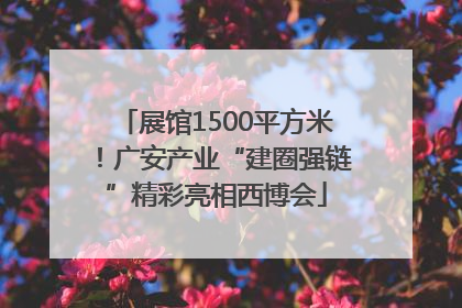 展馆1500平方米！广安产业“建圈强链”精彩亮相西博会
