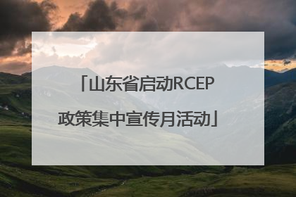 山东省启动RCEP政策集中宣传月活动