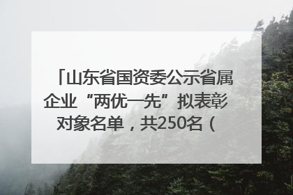 山东省国资委公示省属企业“两优一先”拟表彰对象名单，共250名（个）党员和党组织