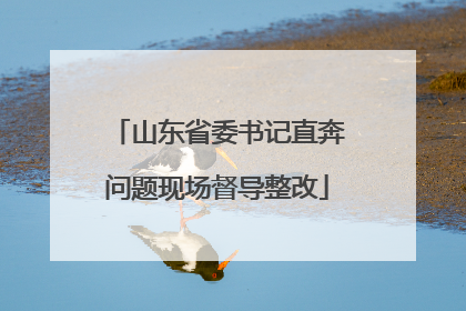 山东省委书记直奔问题现场督导整改