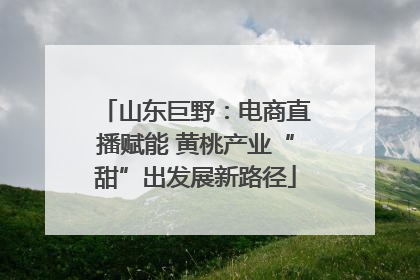 山东巨野：电商直播赋能 黄桃产业“甜”出发展新路径