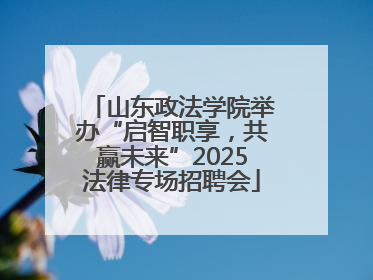 山东政法学院举办“启智职享，共赢未来”2025法律专场招聘会