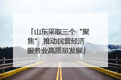 山东采取三个“聚焦” 推动民营经济服务业高质量发展