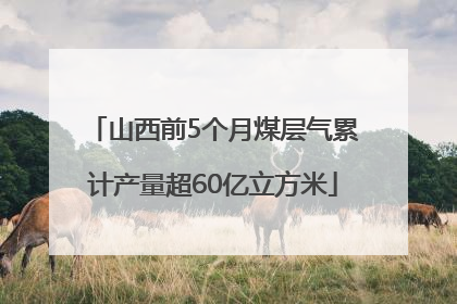山西前5个月煤层气累计产量超60亿立方米