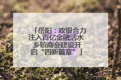 岳阳：政银合力注入百亿金融活水 乡镇商会建设开启“四新篇章”