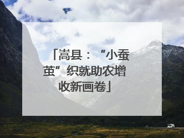 嵩县：“小蚕茧”织就助农增收新画卷