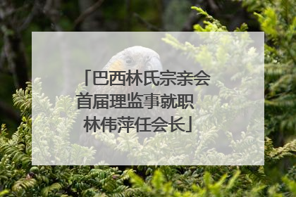 巴西林氏宗亲会首届理监事就职 林伟萍任会长