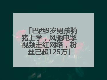 巴西9岁男孩骑猪上学，风驰电掣视频走红网络，粉丝已超125万
