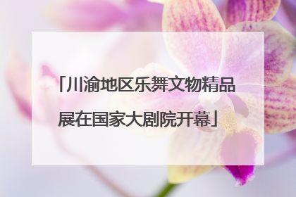 川渝地区乐舞文物精品展在国家大剧院开幕