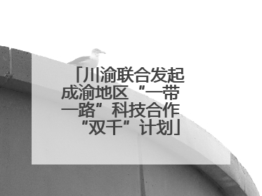 川渝联合发起成渝地区“一带一路”科技合作“双千”计划