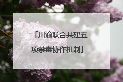 川渝联合共建五项禁毒协作机制