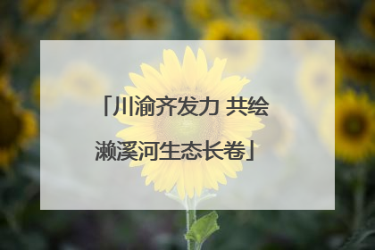 川渝齐发力 共绘濑溪河生态长卷